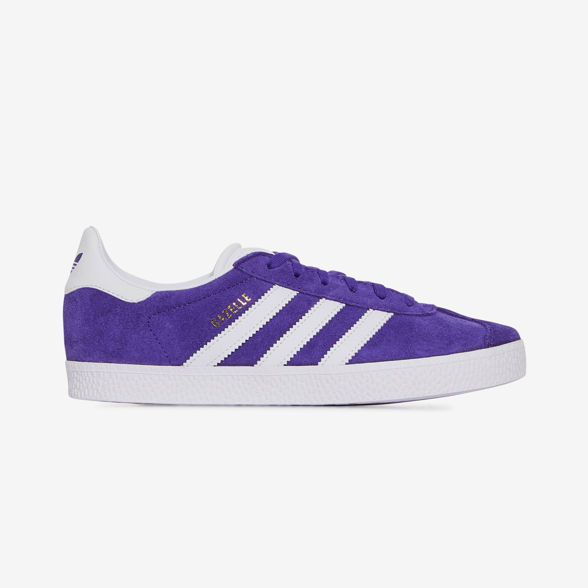 Gazelle kinderen 2025