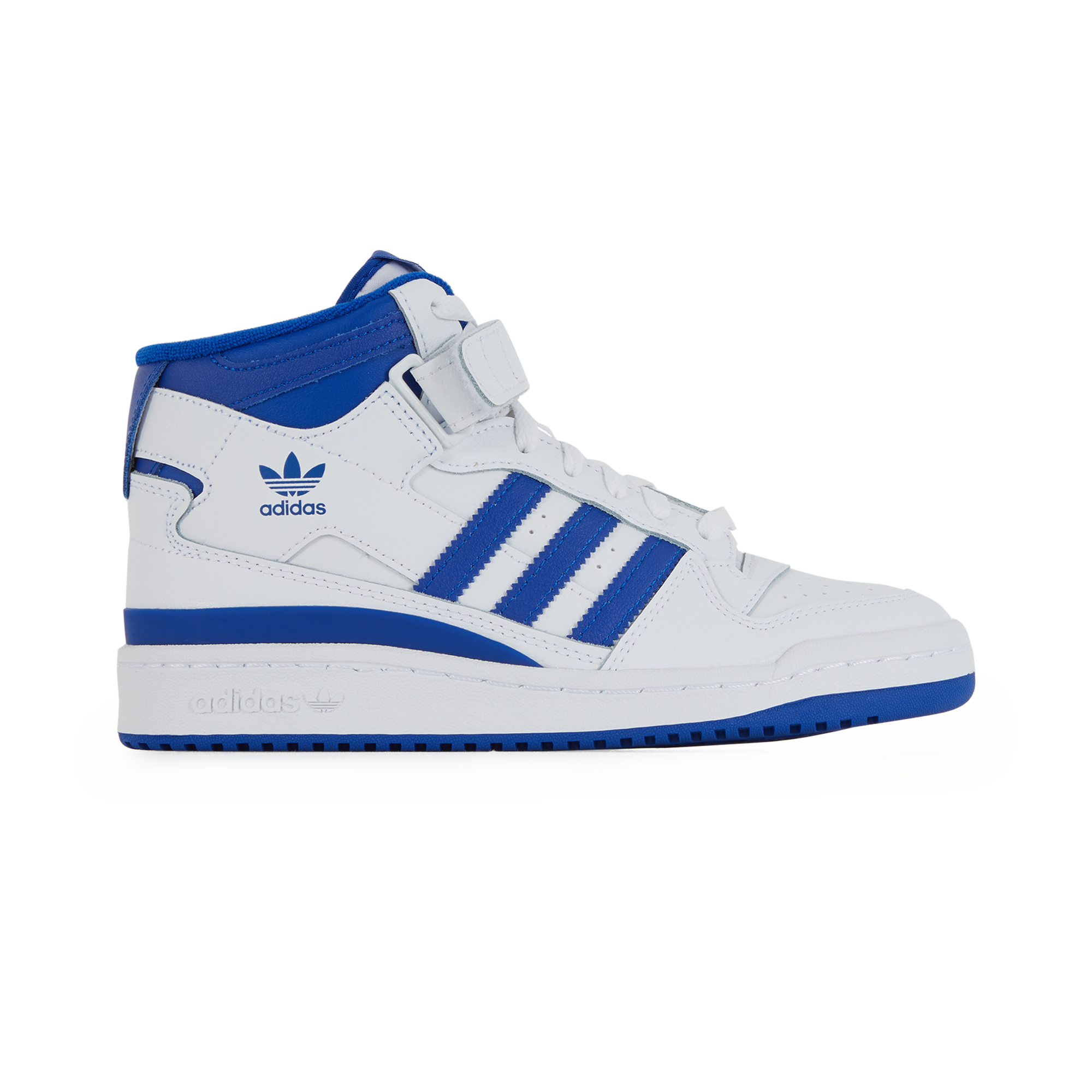 adidas forum bleu montante