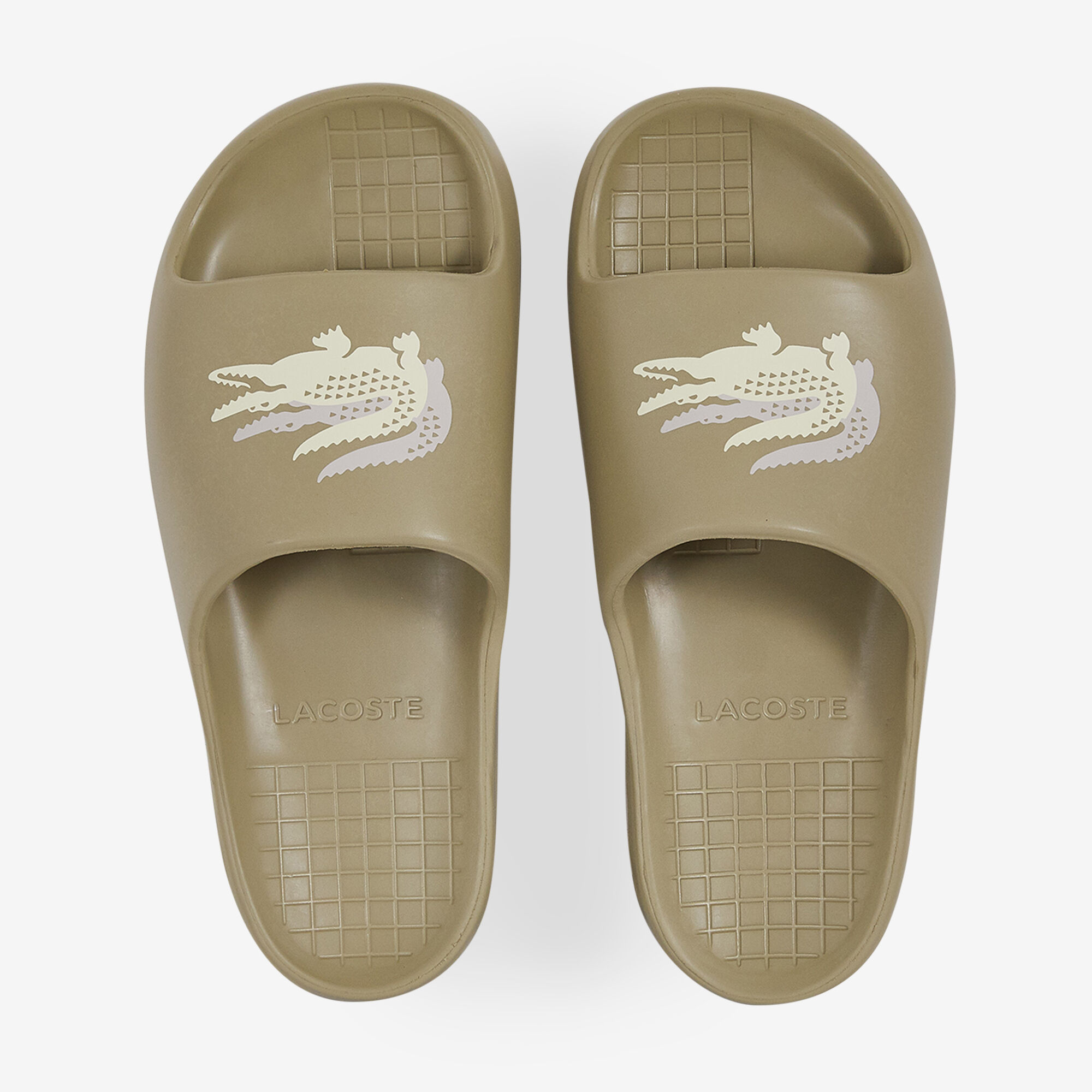 CLAQUETTES TONGS MULES LACOSTE Acheter en ligne Courir.be