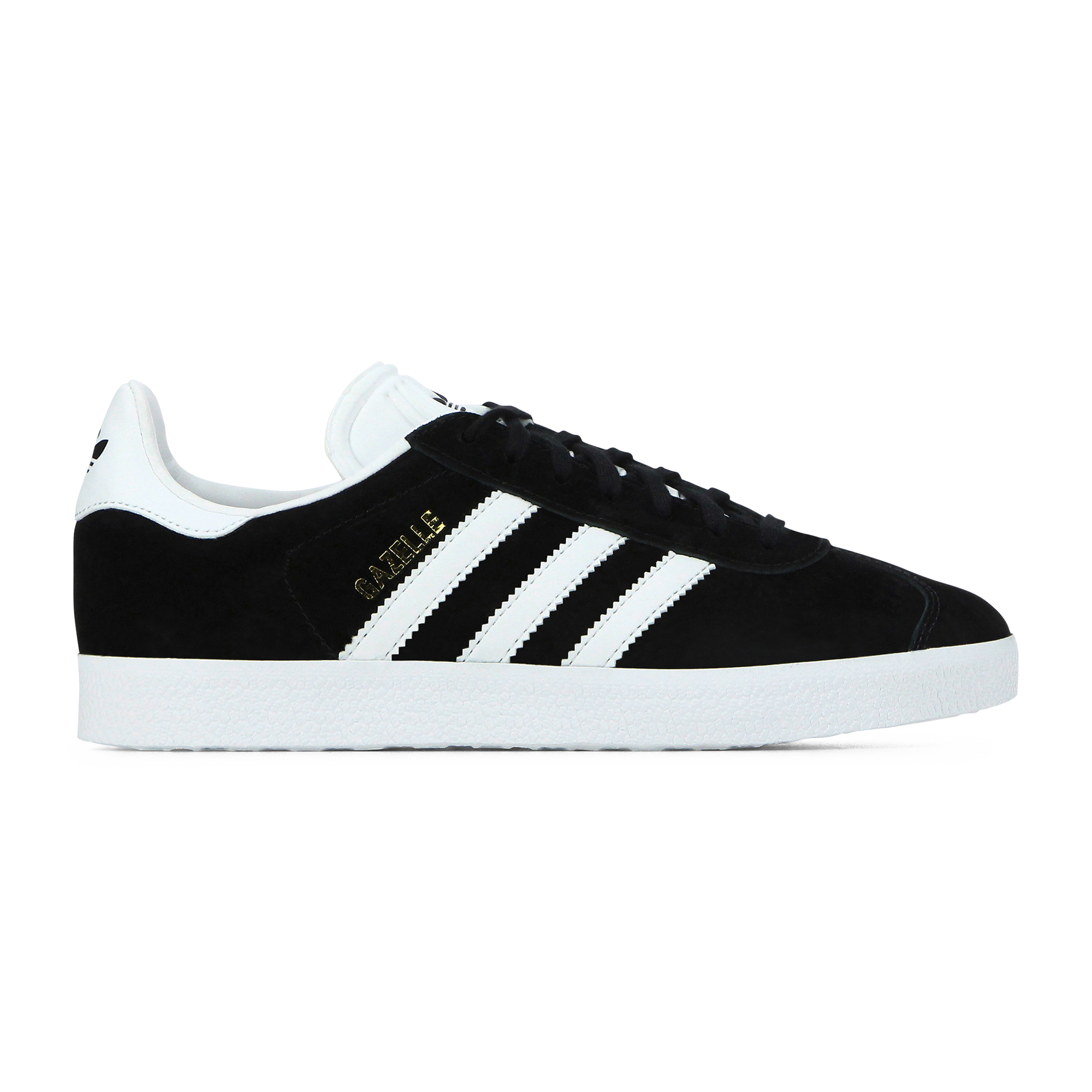 gazelle toute noir